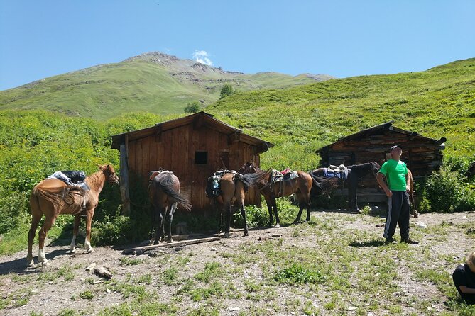 Svaneti Mountain Villages 4x4 Safari, tour from Kutaisi - Who This Tour Fits Best
