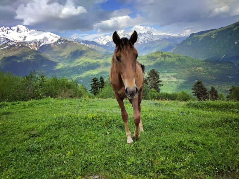 Svaneti Towers Private Tour to Mestia, Hatsvali, Ushguli - Day 4 back toward Tbilisi: Martvili or Okatse canyons and a final chance for souvenirs