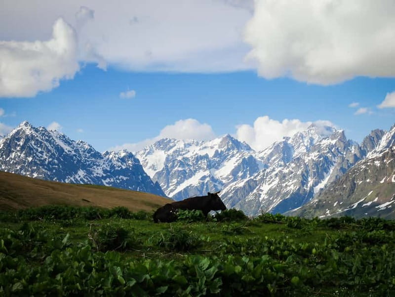 Svaneti Towers Private Tour to Mestia, Hatsvali, Ushguli - Lodging and meals: what’s included and how to avoid surprise costs