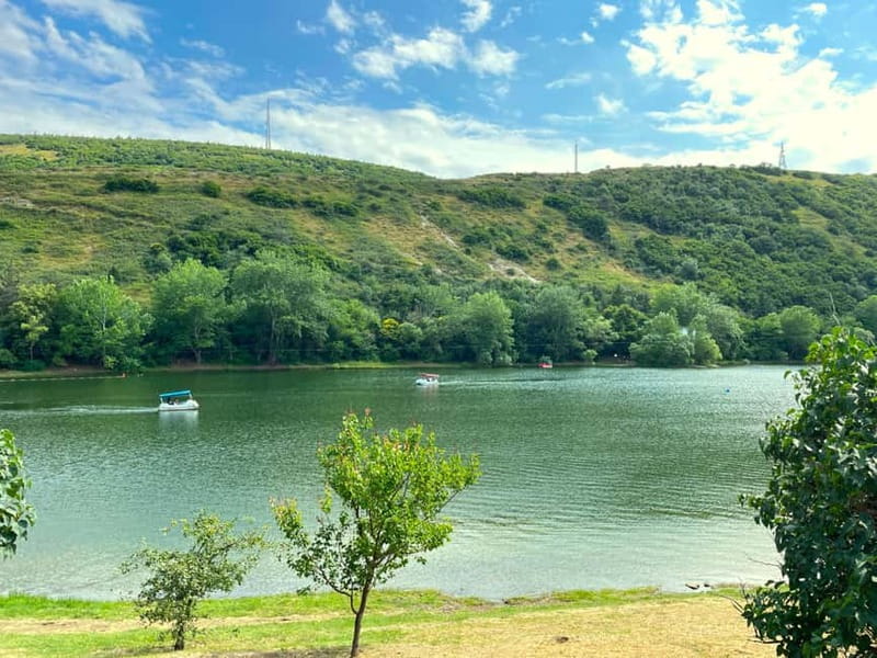 Tbilisi 2 Parks: Turtle Lake & Dedaena Park with Flea Market - The Flea Market Experience: How to Get More Out of Dedaena