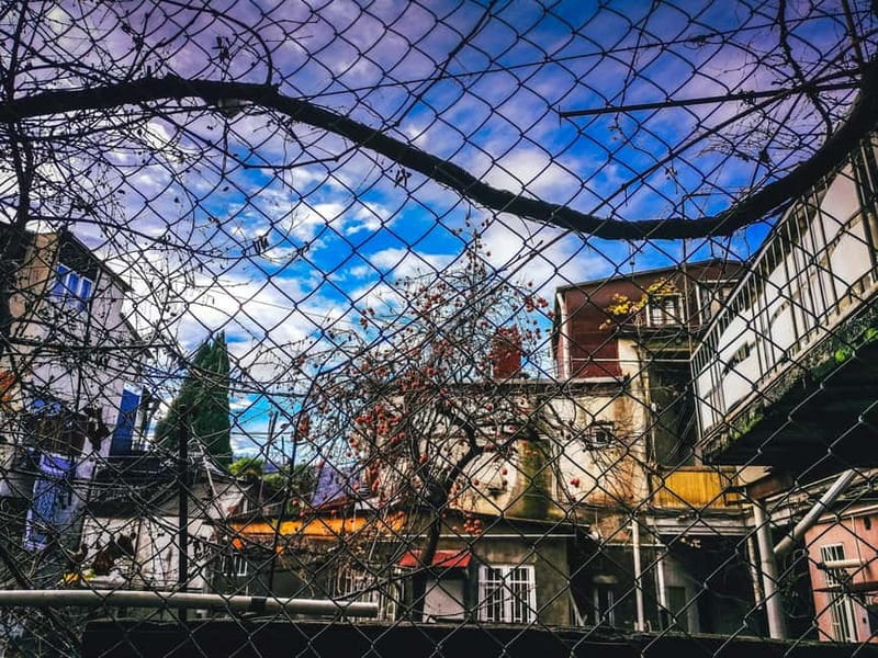 Tbilisi: 50+ Hidden Gems Guided Tour - Food and drinks: what is included, and how to pace it
