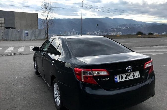 Tbilisi Airport Private Transfers to Hotels Across Georgia (24/7) - Practical tips to make the pickup painless