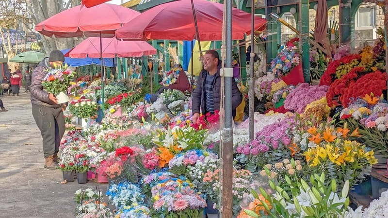 Tbilisi: Christmas Market & Hidden Gems Guided Walking Tour - Freedom Square to Orbeliani Park: where the festivities begin