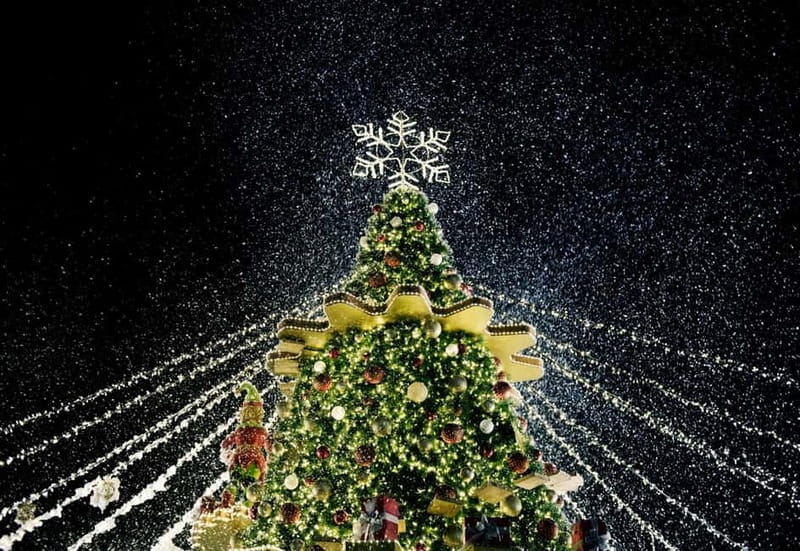 Tbilisi: Christmas Tour & Glühwein, Half-Day Guided Walking - Glühwein, hot chocolate, and Christmas sweets that keep you warm