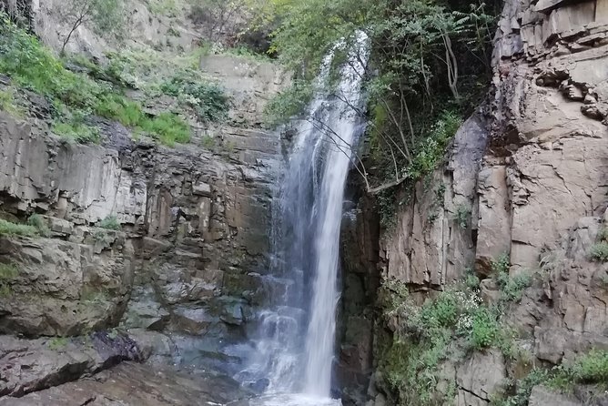 Tbilisi City Tour - Tbilisi Zoo and Mtatsminda Amusement Park: A Fun Day With Mountain Atmosphere