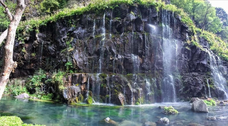 Tbilisi: Dashbashi Canyon and the Diamond Bridge Day Trip - Timing and the Real Schedule: Why 8.5 Hours Can Feel Different