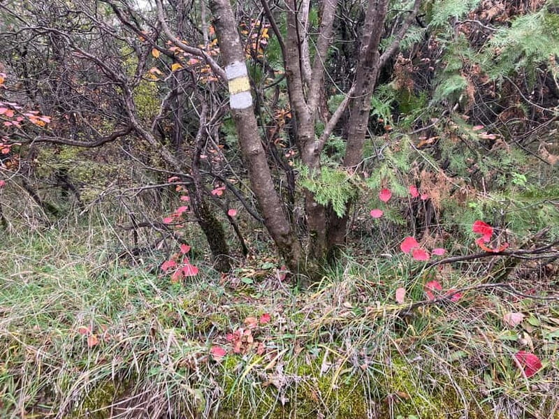 Tbilisi: Delightful Trail over the City - How the Trail Options Connect Toward Turtle Lake, Sololaki, and Narikala