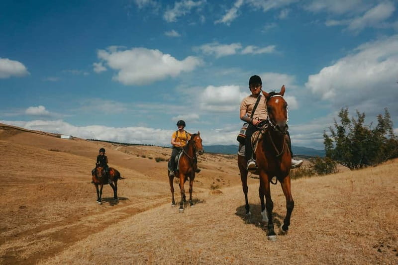 Tbilisi: Horseback Riding Experience - Key Highlights You Will Actually Care About