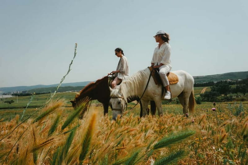 Tbilisi: Horseback Riding Experience - Why Kvemo Kartli Horseback Riding Works So Well for Beginners
