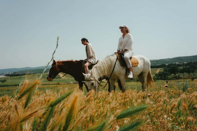 Tbilisi: Horseback Riding Experience - Farm Animals, Scenery, and the Fun Parts of the Route