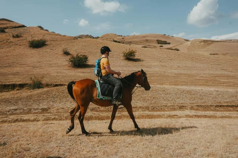 Tbilisi: Horseback Riding Experience - Should You Book This 1 Hour Horseback Riding Experience in Kvemo Kartli?