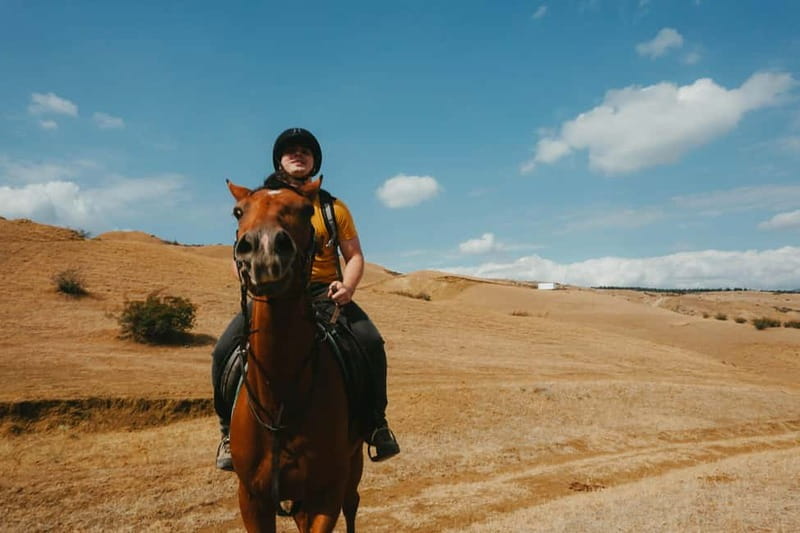 Tbilisi: Horseback Riding Experience - The 1-Hour Ride: What You Can Expect From Start to Finish