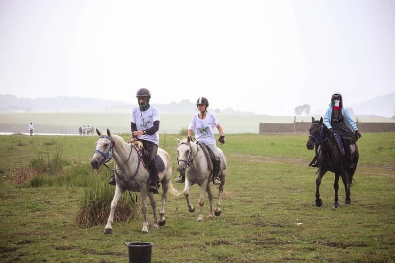 Tbilisi: Kakheti Horse Riding, Wine Tasting, and Cooking … - Horseback from Qedeli: views, churches, and real Kakheti terrain