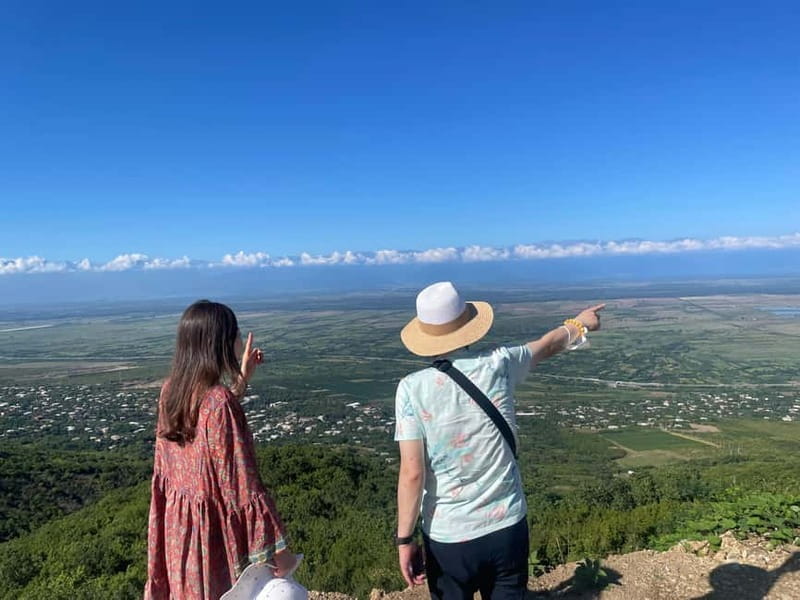 Tbilisi: Kakheti Private Wine Tour with Family Lunch - Should You Book This Kakheti Private Wine Tour?