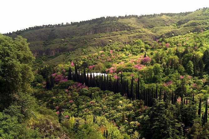 Tbilisi & Mtskheta city tour - Jvari Church: Mountain View Over Two Rivers