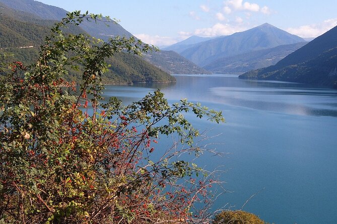 Tbilisi to Kazbegi, Gudauri, and Ananuri Day Tour - Guides, language, and safety: how to protect your experience