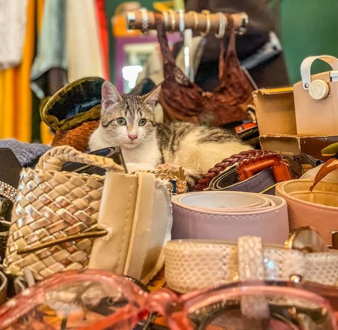 Tbilisi: Vintage Stores and Cafes Walking Tour with Coffee - Who this tour fits best in your Tbilisi plan