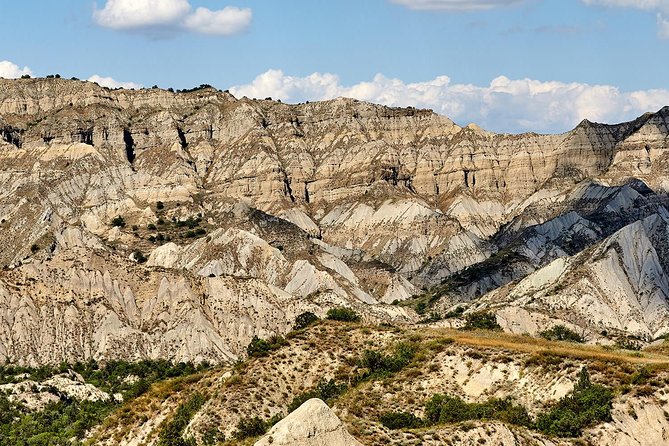Three day hiking tour to Kakheti region with two overnight stays in Sighnaghi - Day 2: Vashlovani National Park for wildlife chances and volcanic views