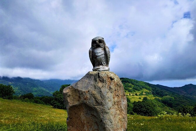 Tour to Didgori Valley from Tbilisi (Turtle Lake, Ethnographic Museum, Kojori) - Timing, comfort, and the small stuff that matters