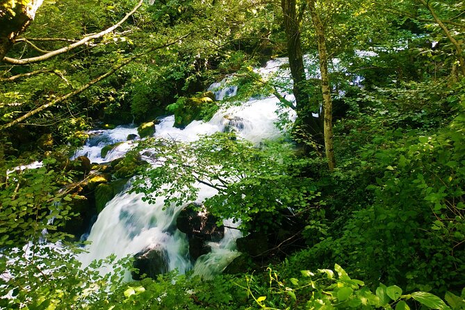 Tour to Lechkhumi from Tbilisi (Ghvirishi,Lailashi, Kulbaki,Rachkha,Usakhelouri) - Rachkha Waterfall at Isunderi: Easy Walk In, Big Water Out