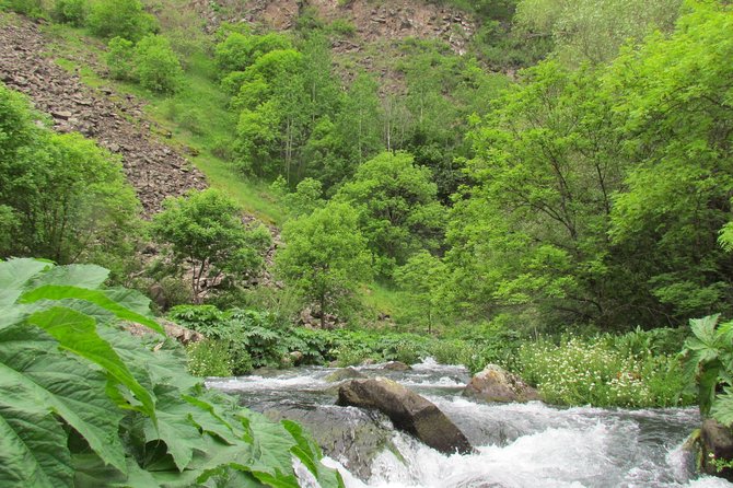 Trip to The Diamond Bridge and Dashbashi Canyon - Dashbashi Canyon Natural Monument: What to Expect in 3 Hours