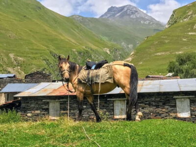 Tusheti Thrill: Limited-Time Mountain Escape 3 day tour