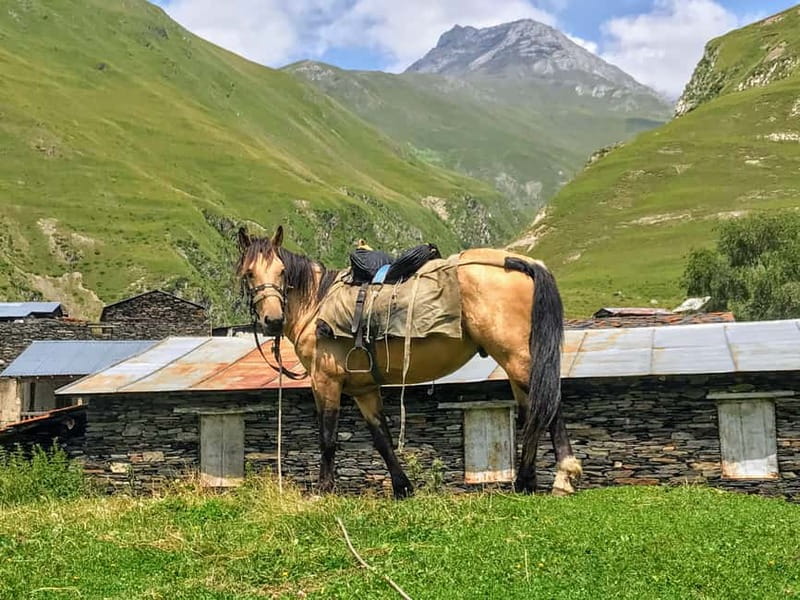 Tusheti Thrill: Limited-Time Mountain Escape 3 day tour - Day 1 from Tbilisi to Omalo, where time slows down