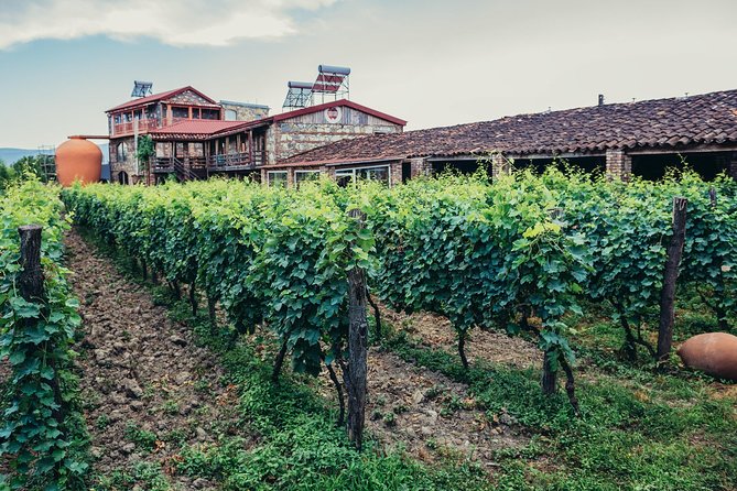 Two Days in Gorgeous Wine Region with Full board Meals and Tastings From Tbilisi - Guides, Personal Attention, and Why This Feels Less Like a Factory Tour