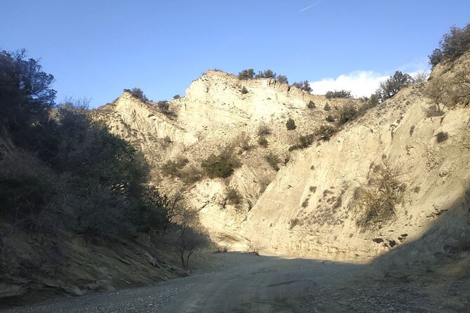 Vashlovani National Park Day Trip from Tbilisi - Who this day trip is best for (and who may want something else)