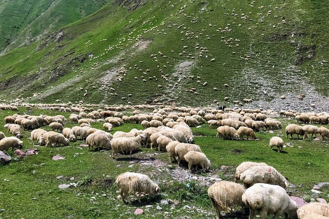 Wild Georgia 4WD PACK Adventure through Kakheti and Kazbegi 2in1 - Ananuri Fortress and the finish back in Tbilisi