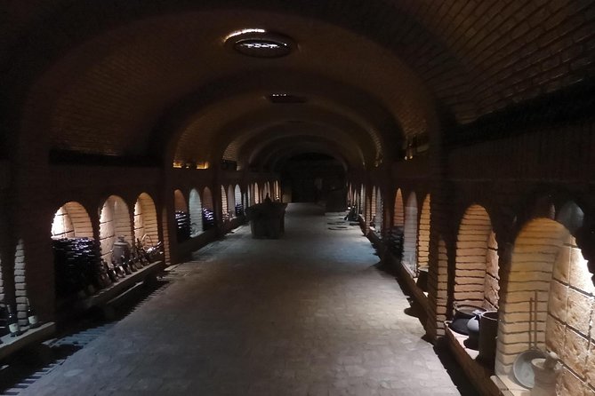 Wine and Culinary Tour in Kakheti Region - Should you book this Kakheti Wine and Culinary Tour?