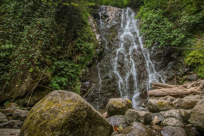 Wine and Dine Tour To Batumi Waterfalls - Mountainous Adjara - Shervashidze Wine Cellar: family tasting, traditional food, and folklore dance