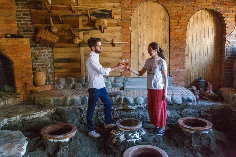 Wine & Dine group tour from Kutaisi - Baia’s Wine: seeing the vineyard right behind the house
