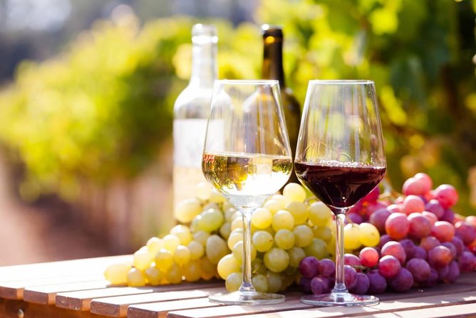 Wine Tasting Tour in Georgia's Cradle of Wine - Kakheti wine country, the way it should feel