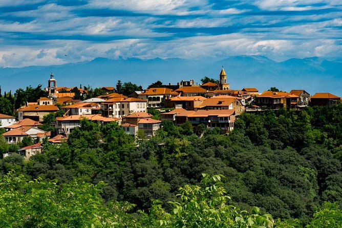 Wine Tour in Kakheti, Telavi town, Georgia - Key Highlights You’ll Actually Care About