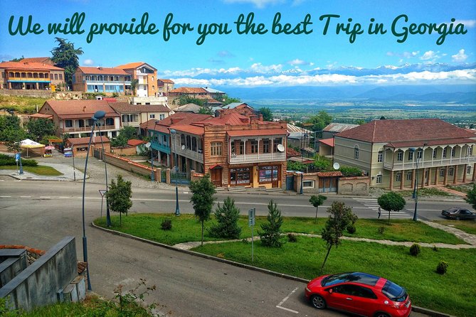 Wine Tour in Kakheti, Telavi town, Georgia - Who This Kakheti Tour Fits Best